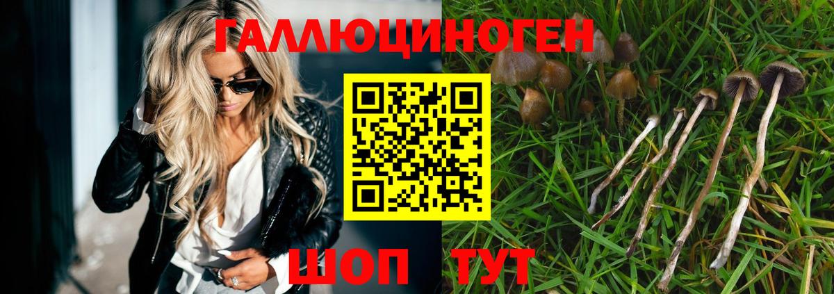 Галлюциногенные грибы Psilocybine cubensis  Псилоцибиновые грибы прущие грибы  Троицк  как найти   Вход с VPN 